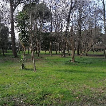 La Casina Giramondo Di Ele Viareggio Exterior foto